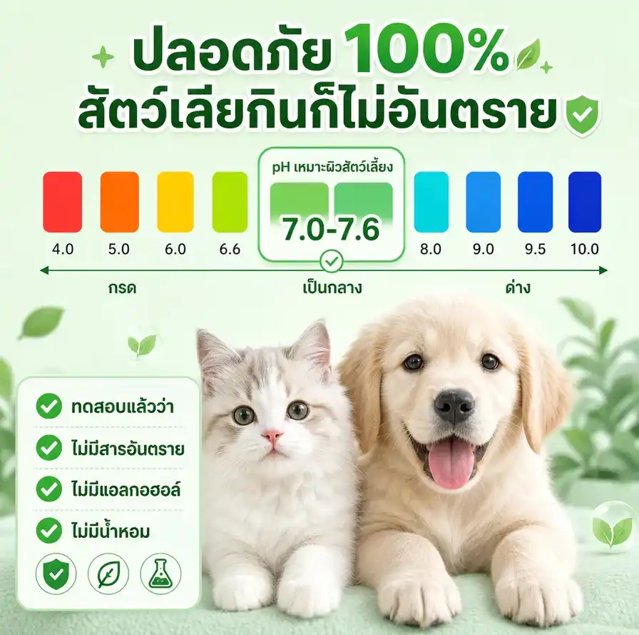 https://s.shopee.co.th/4LK5MEBrcY
