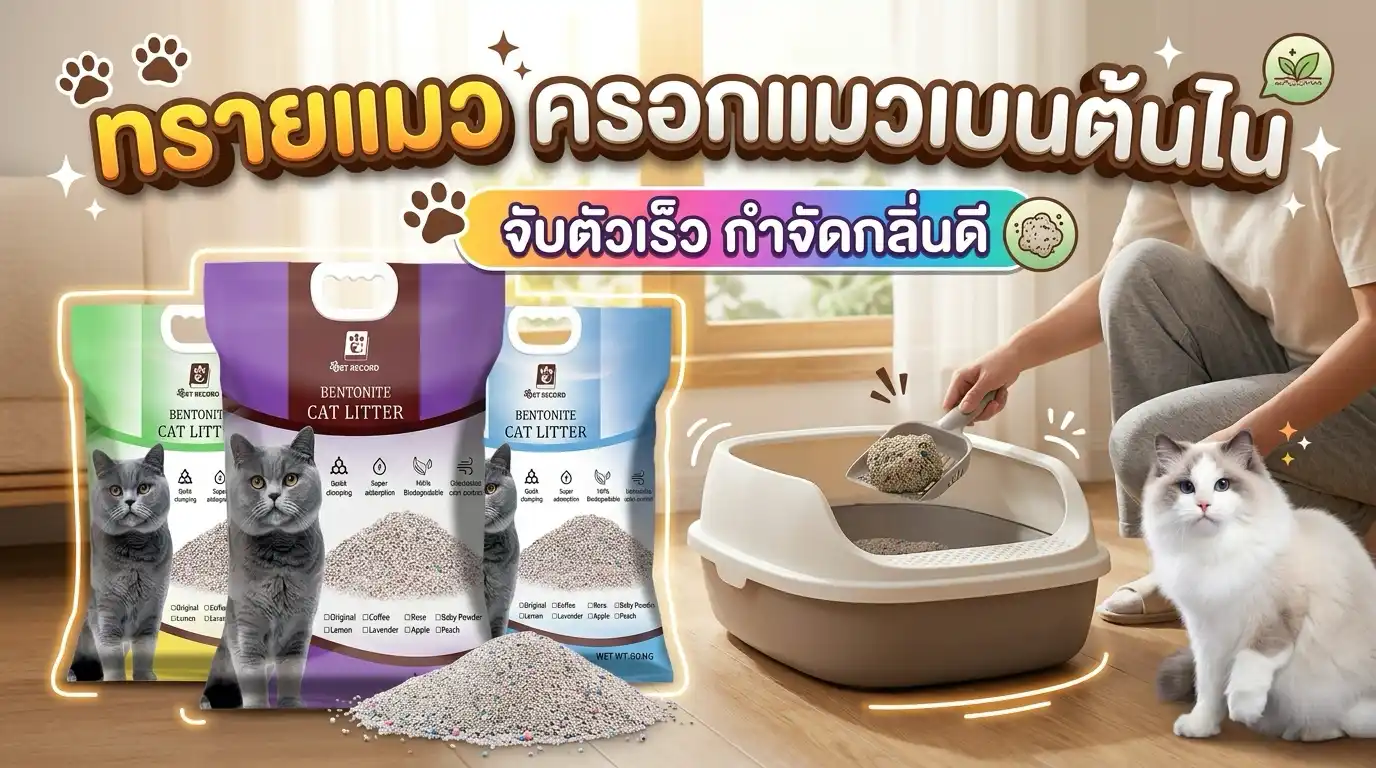 ทรายแมวคุณภาพ